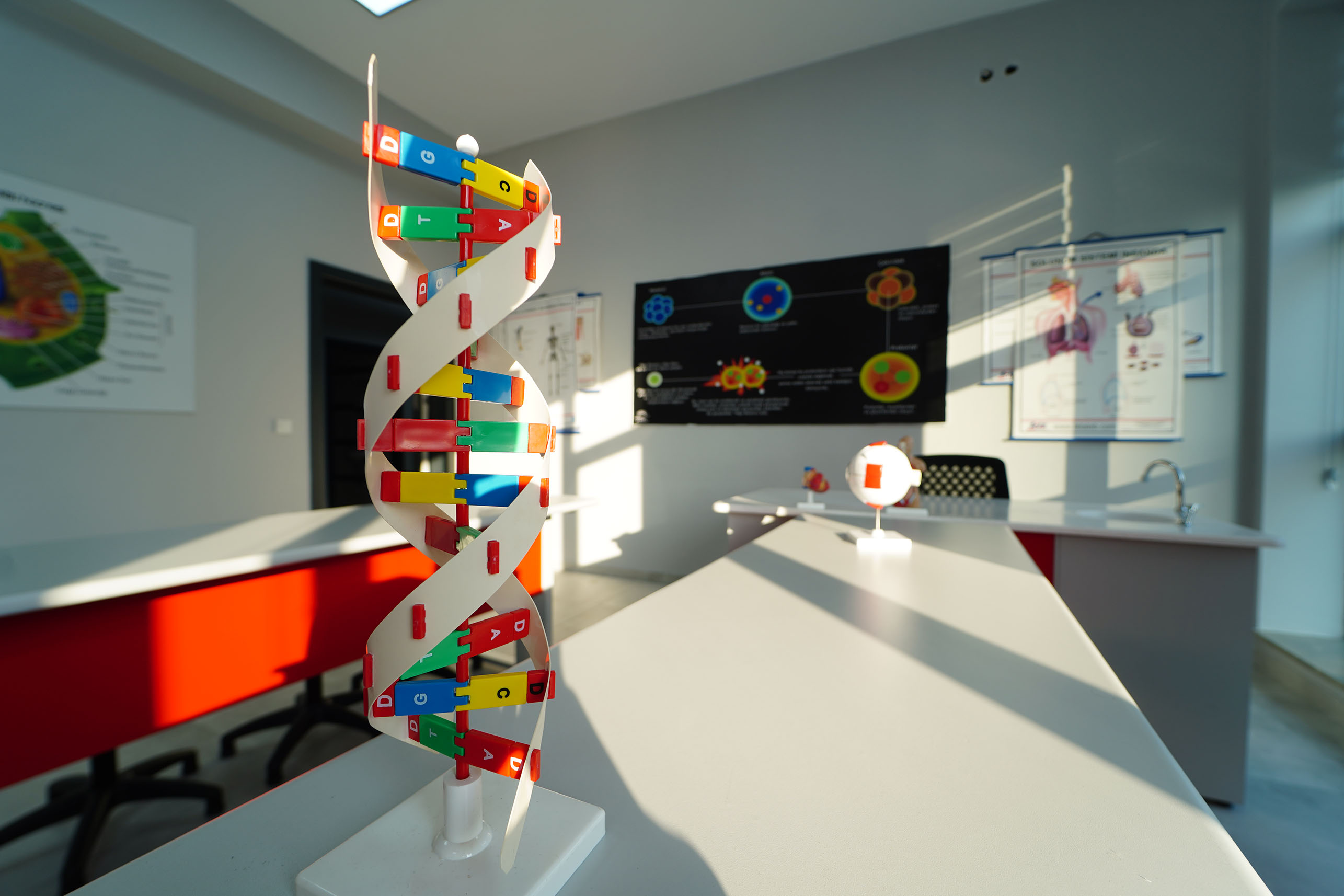 Kurumumuzdan Kareler